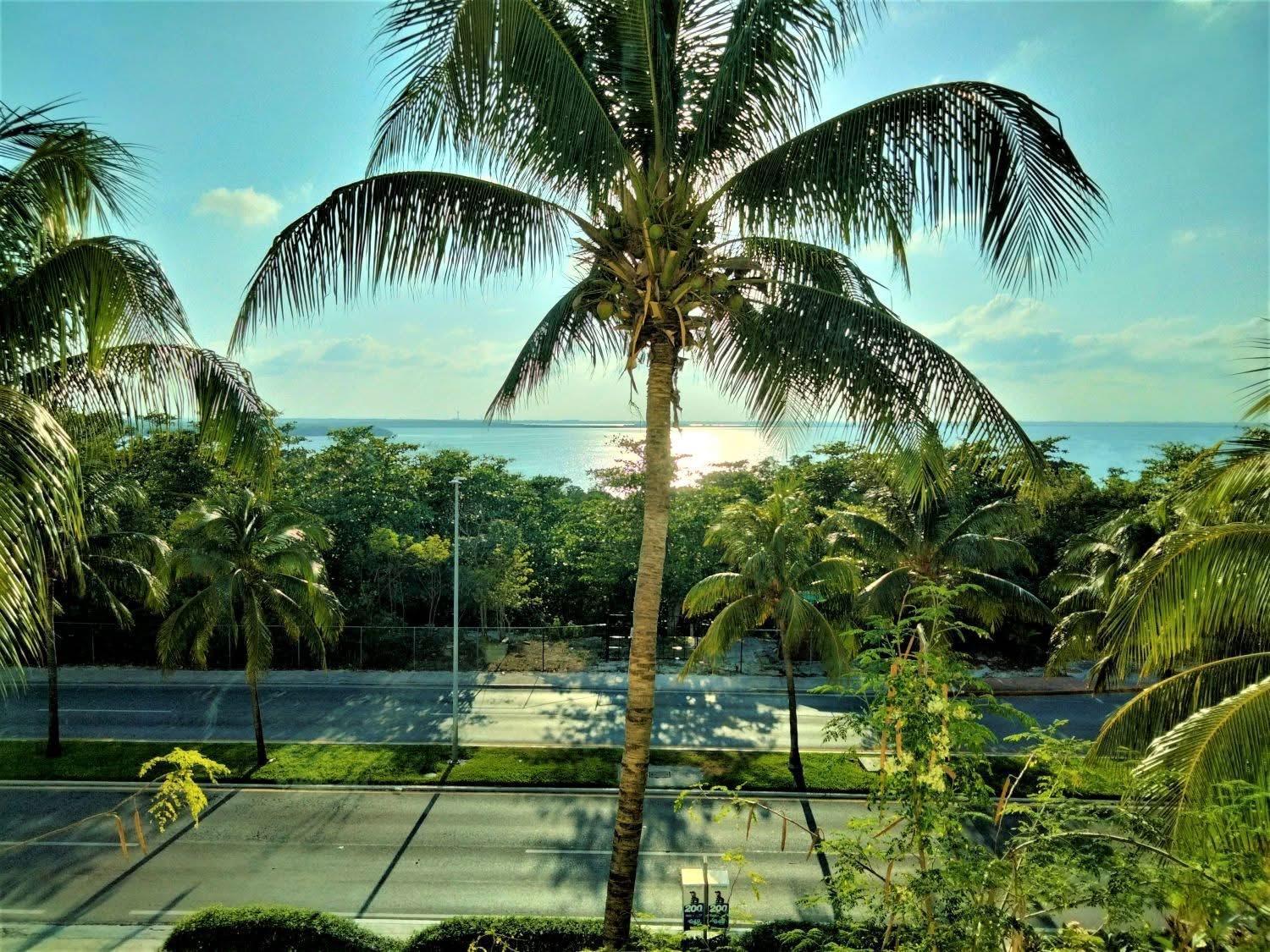 Great Price, Beautiful Beach And Pool, 1 Bedroom Cancun Dış mekan fotoğraf